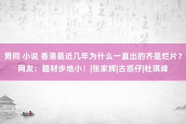 男同 小说 香港最近几年为什么一直出的齐是烂片？网友：题材步地小！|张家辉|古惑仔|杜琪峰