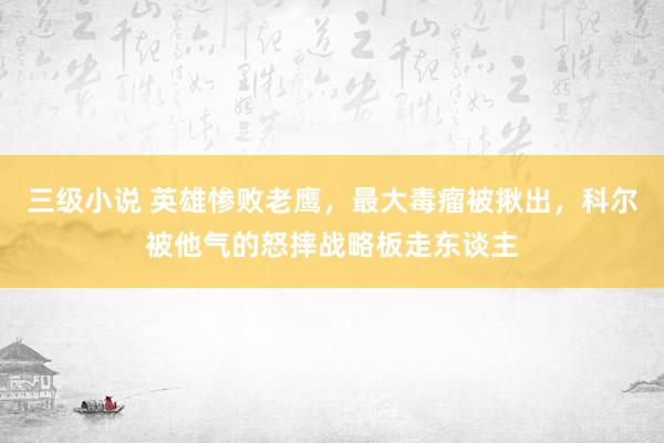 三级小说 英雄惨败老鹰，最大毒瘤被揪出，科尔被他气的怒摔战略板走东谈主