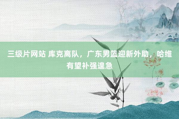 三级片网站 库克离队，广东男篮迎新外助，哈维有望补强遑急