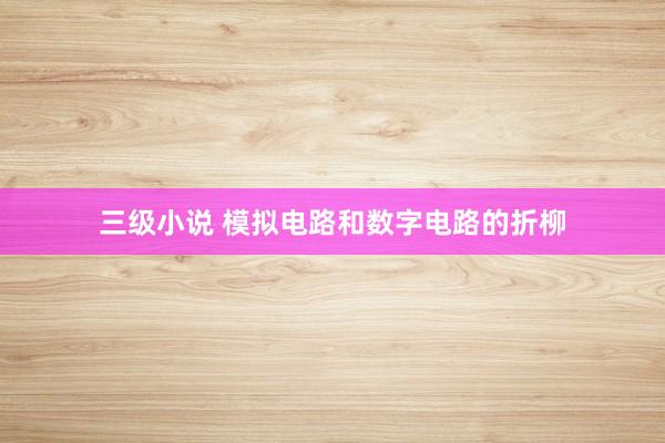 三级小说 模拟电路和数字电路的折柳