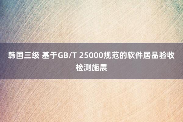 韩国三级 基于GB/T 25000规范的软件居品验收检测施展