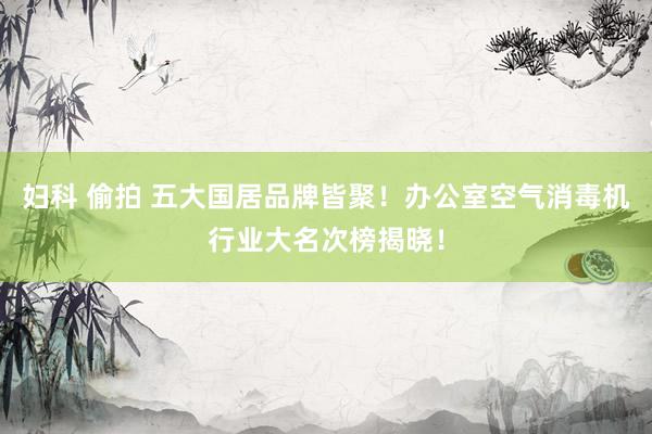 妇科 偷拍 五大国居品牌皆聚！办公室空气消毒机行业大名次榜揭晓！