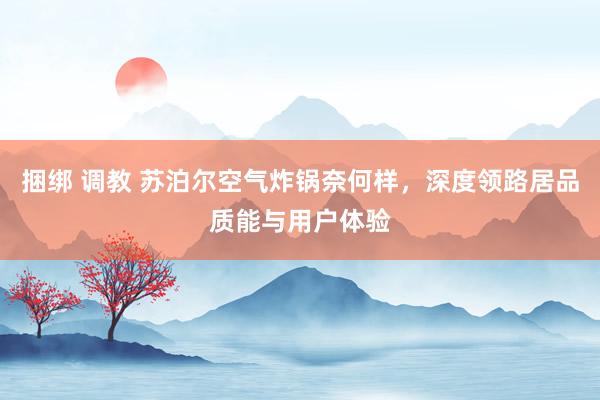 捆绑 调教 苏泊尔空气炸锅奈何样，深度领路居品质能与用户体验