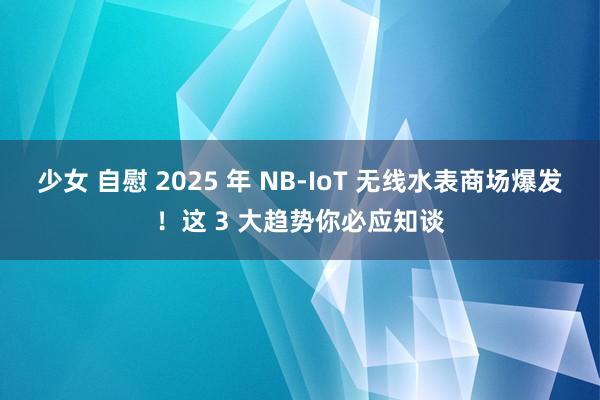 少女 自慰 2025 年 NB-IoT 无线水表商场爆发！这 3 大趋势你必应知谈