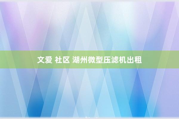 文爱 社区 湖州微型压滤机出租