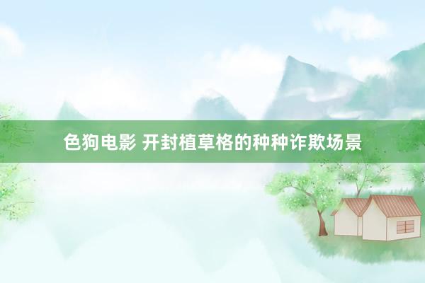 色狗电影 开封植草格的种种诈欺场景