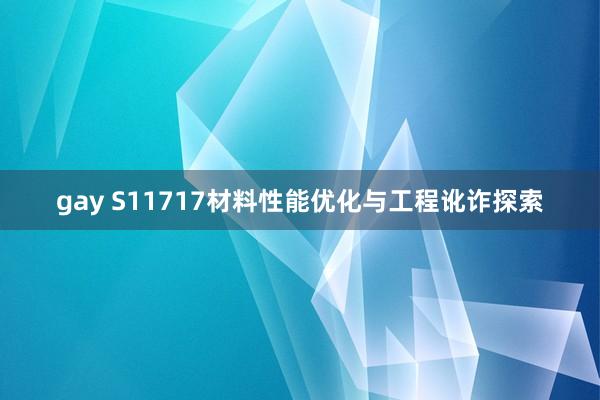 gay S11717材料性能优化与工程讹诈探索