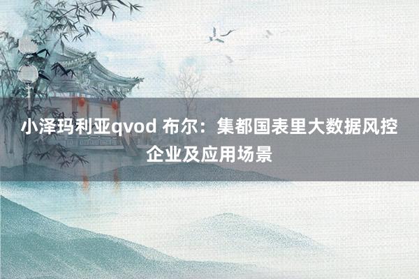 小泽玛利亚qvod 布尔：集都国表里大数据风控企业及应用场景