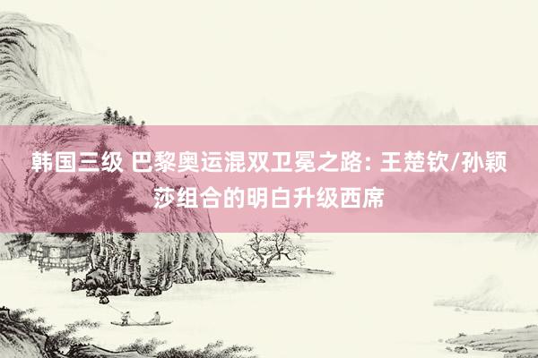 韩国三级 巴黎奥运混双卫冕之路: 王楚钦/孙颖莎组合的明白升级西席