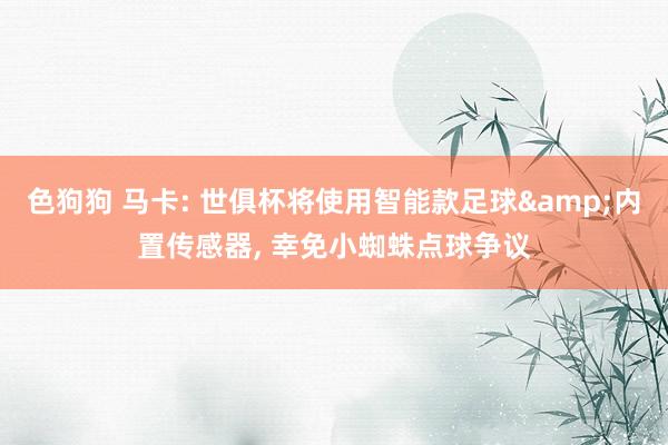 色狗狗 马卡: 世俱杯将使用智能款足球&内置传感器, 幸免小蜘蛛点球争议
