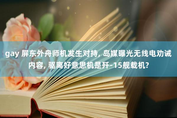 gay 屏东外舟师机发生对持, 岛媒曝光无线电劝诫内容, 驱离好意思机是歼-15舰载机?