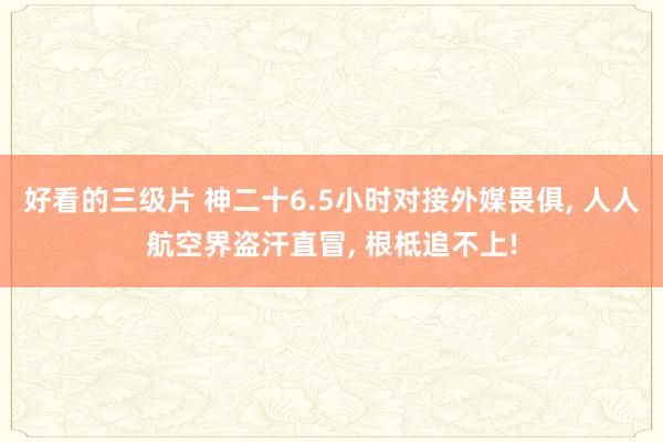 好看的三级片 神二十6.5小时对接外媒畏俱, 人人航空界盗汗直冒, 根柢追不上!