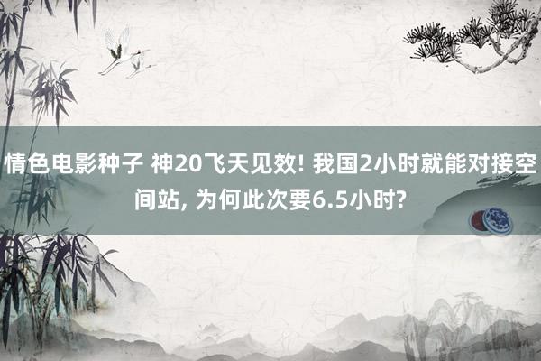 情色电影种子 神20飞天见效! 我国2小时就能对接空间站, 为何此次要6.5小时?