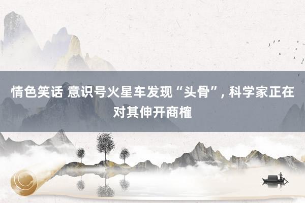 情色笑话 意识号火星车发现“头骨”, 科学家正在对其伸开商榷