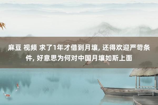 麻豆 视频 求了1年才借到月壤, 还得欢迎严苛条件, 好意思为何对中国月壤如斯上面