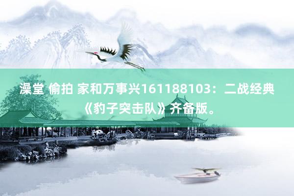 澡堂 偷拍 家和万事兴161188103：二战经典《豹子突击队》齐备版。