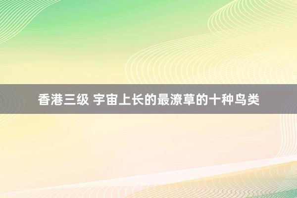 香港三级 宇宙上长的最潦草的十种鸟类