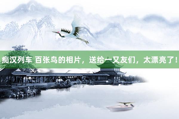 痴汉列车 百张鸟的相片，送给一又友们，太漂亮了！