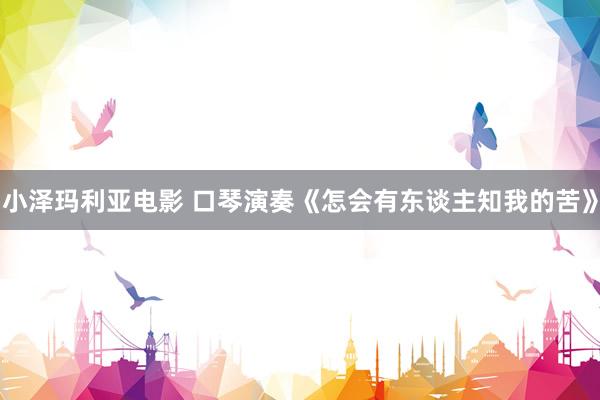 小泽玛利亚电影 口琴演奏《怎会有东谈主知我的苦》