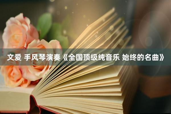 文爱 手风琴演奏《全国顶级纯音乐 始终的名曲》